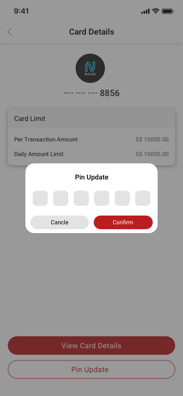 Pin Update SCash screen